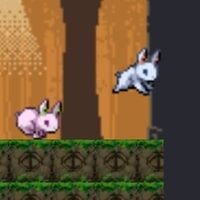 Game Bunny Runny
