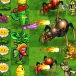 Game Angry Plants Flower